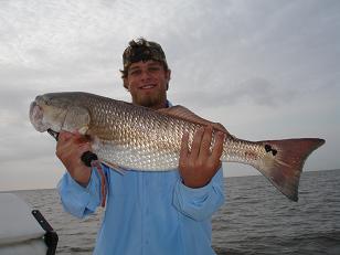 Bull Redfish!!!